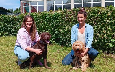 Unsere neuen Schulhunde an der Grundschule Uesen stellen sich vor