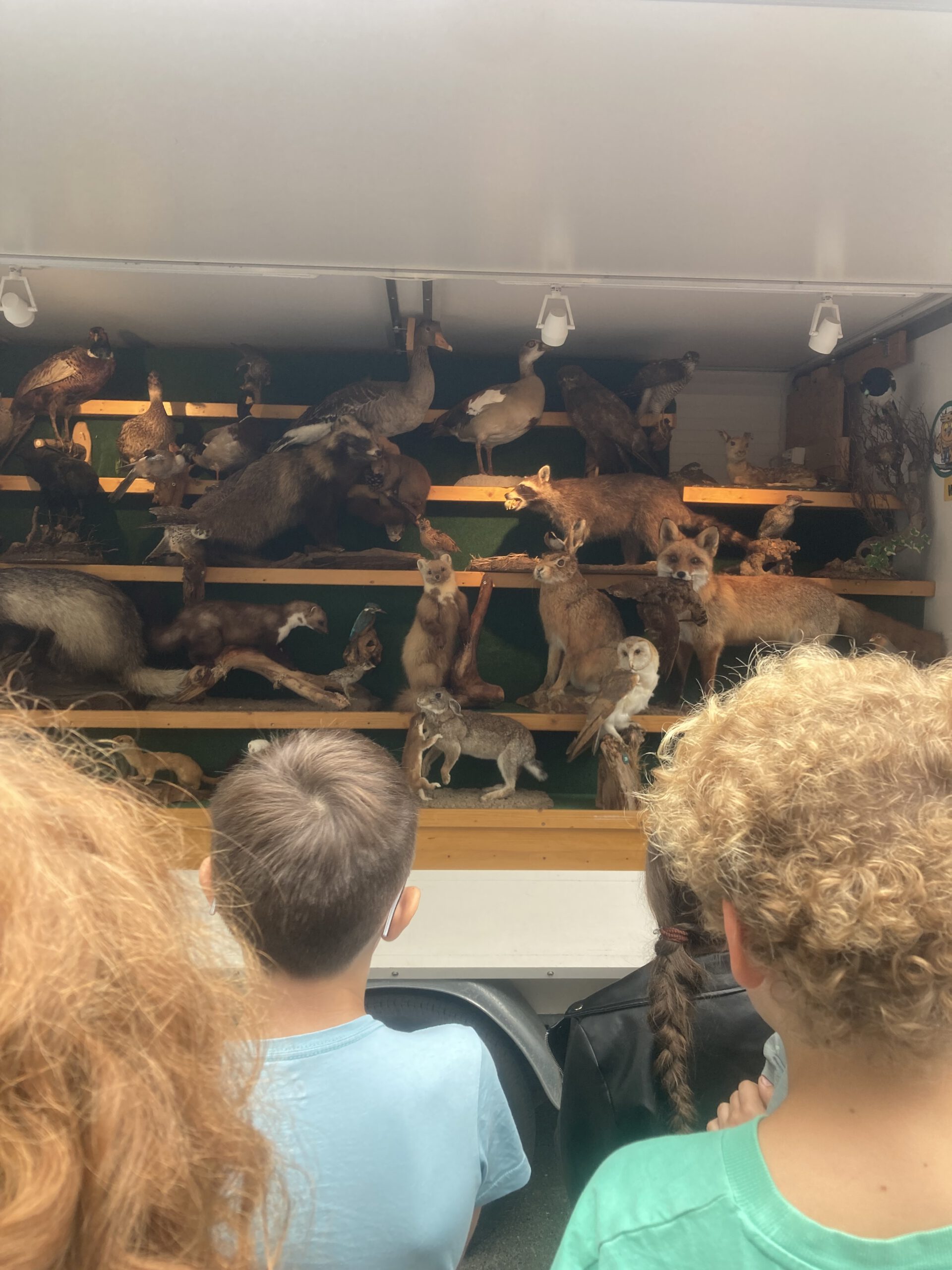 Das Jägermobil zu Gast in unserer Grundschule
